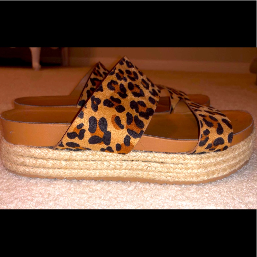 Cheetah Platforms
